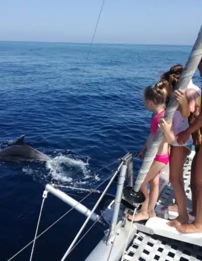 Dolphin spotting boat in Benalmadena, Malaga