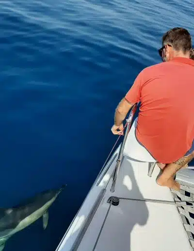 Dolphin spotting boat in Puerto Marina, Benalmadena