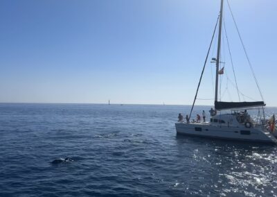 Enjoy a catamaran boat ride in Benalmádena, Málaga