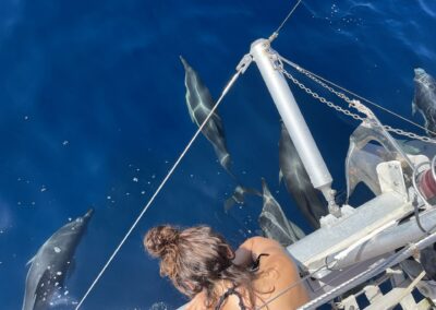 Chica disfrutando de los delfines nadando alrededor del barco en Benalmádena